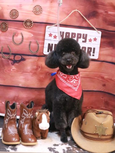 20260129もずくちゃん