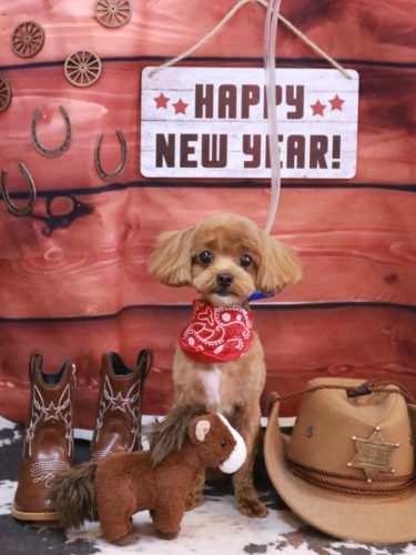 20260130海瑠ちゃん