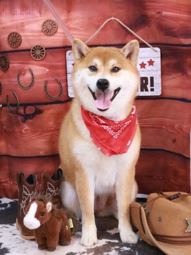 20260130マロンちゃん