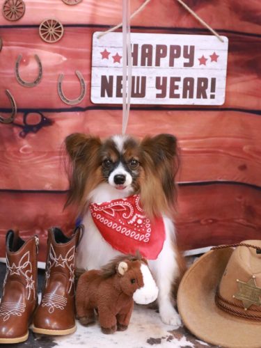 20260130ラナちゃん