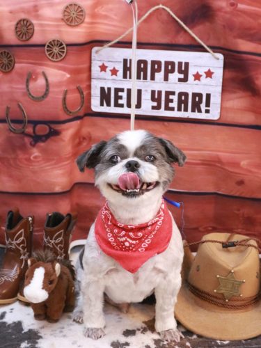 20260130大吉くん