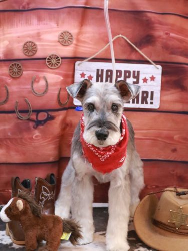 20260130小鉄くん