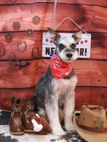 20260130銀次くん