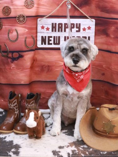 20260130ディアくん