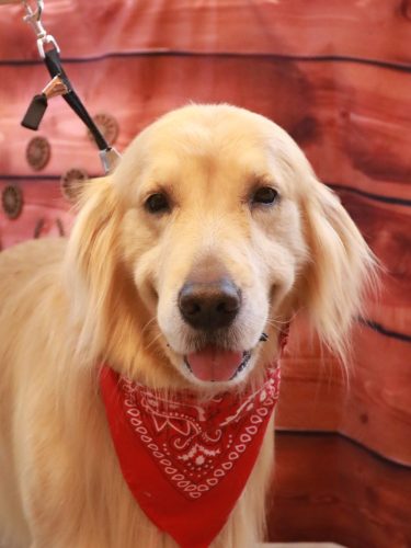 20260130マロンくん