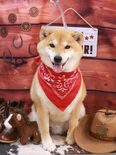 20260130りんたろうくん