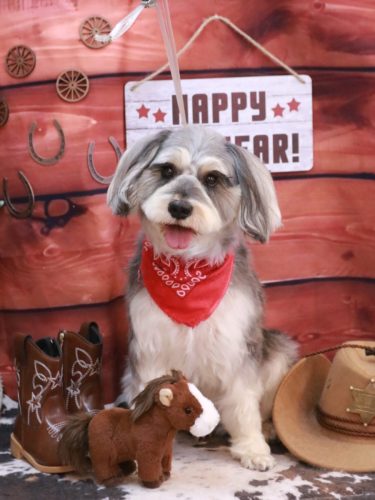 20260130パピコくん