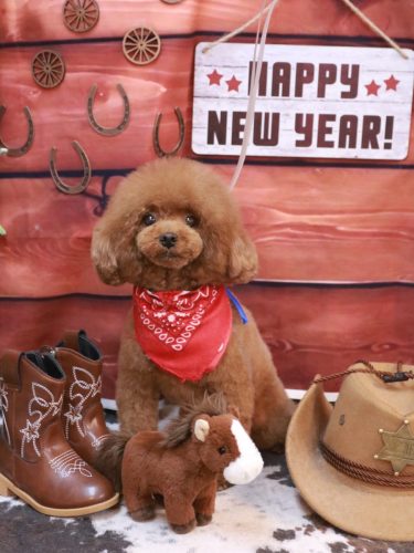 20260131アリームちゃん