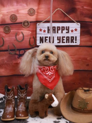 20260131メルちゃん