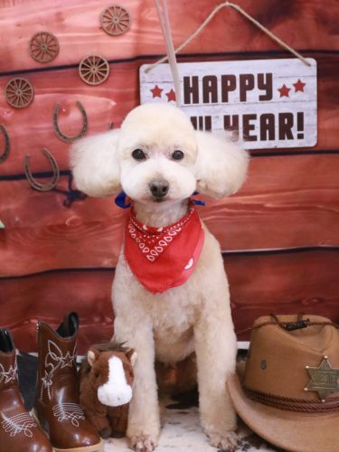 20260131ジョナくん