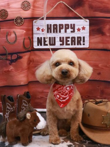 20260131シェリーくん