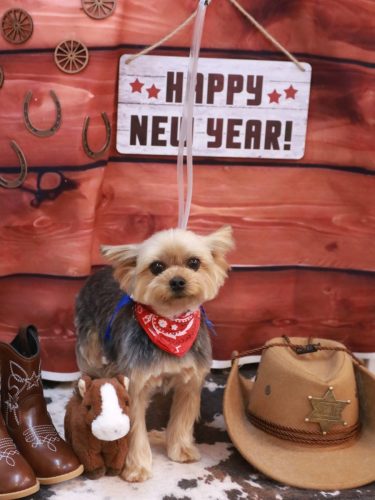 20260131メイちゃん