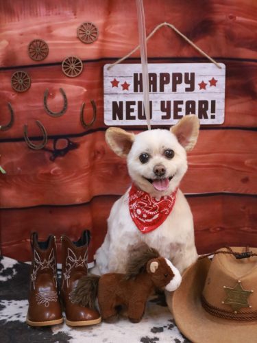 20260131ポンタくん