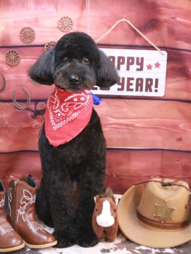 20260131アロちゃん