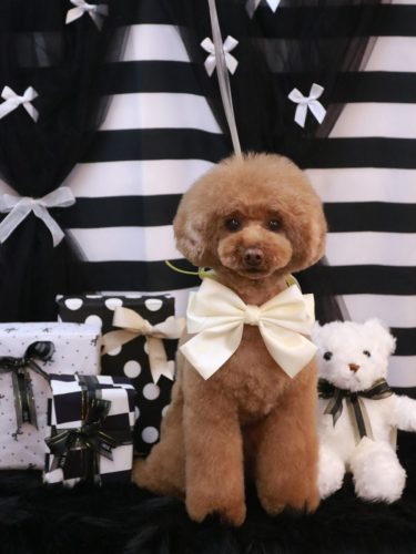 20260201ろこちゃん