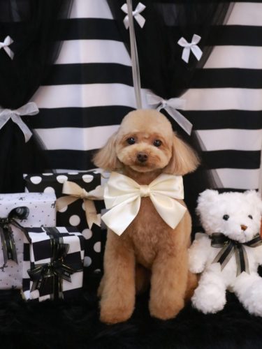 20260201ララちゃん