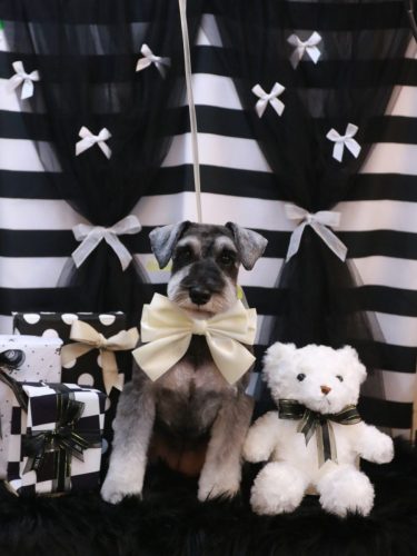 20260201らいちゃん