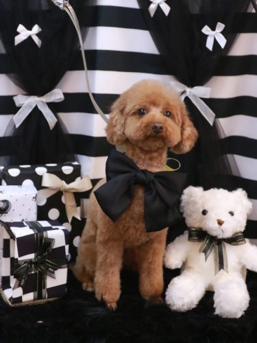 20260201むぎちゃん