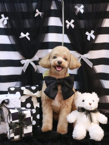 20260203レオくん