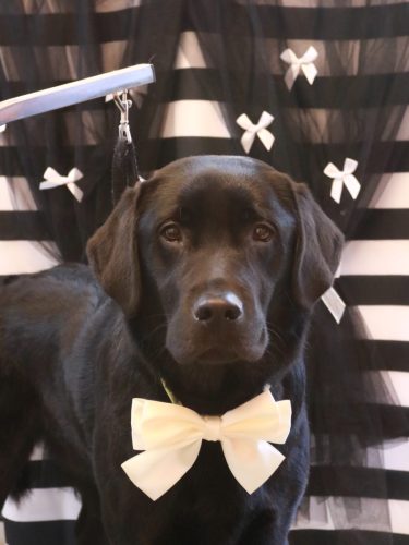 20260203文太くん