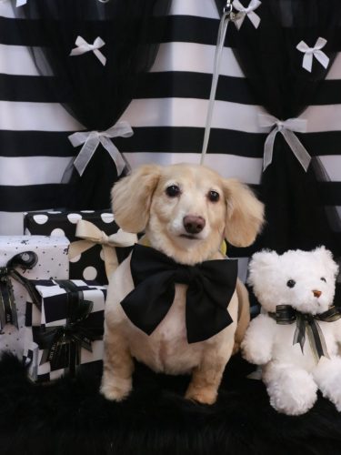 20260204テヤンくん