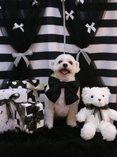 20260204うるちゃん