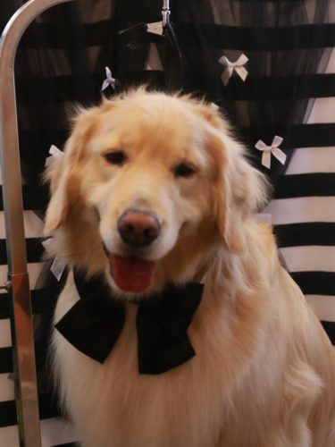 20260205ナナちゃん