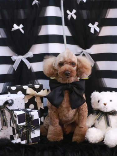 20260205くぅくん