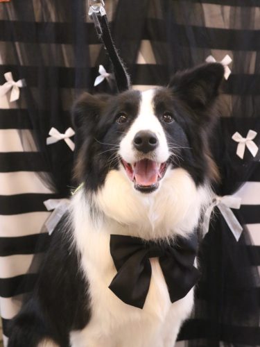 20260205ルビーちゃん