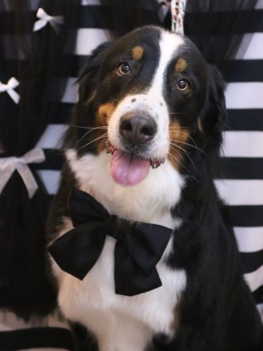 20260206ココちゃん