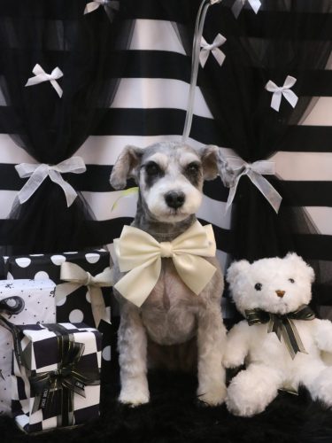 20260207ふたばちゃん