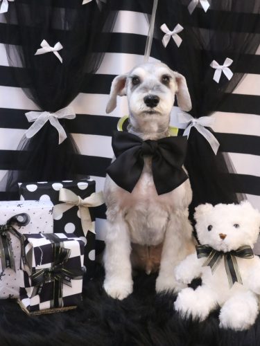 20260207りくくん