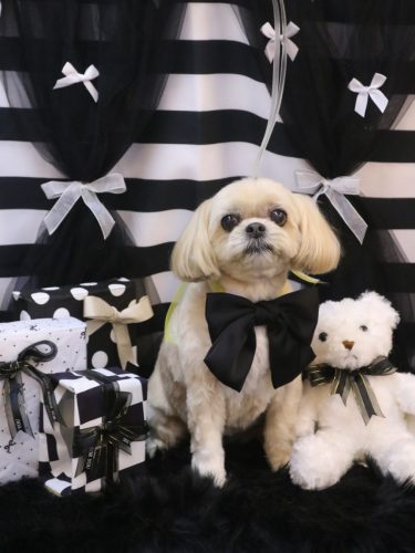 20260207モカちゃん