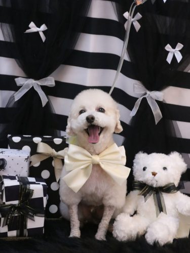 20260207ふぁるくん