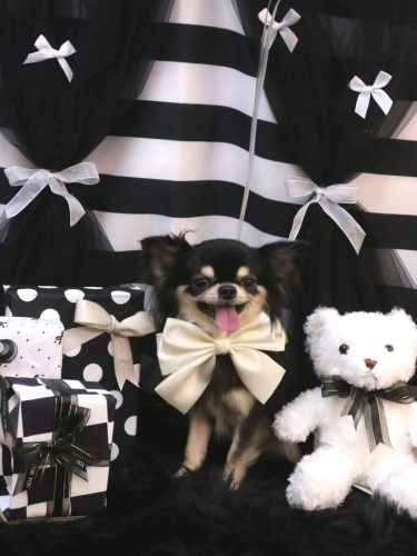 20260207ラブくん