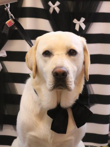 20260208糸ちゃん