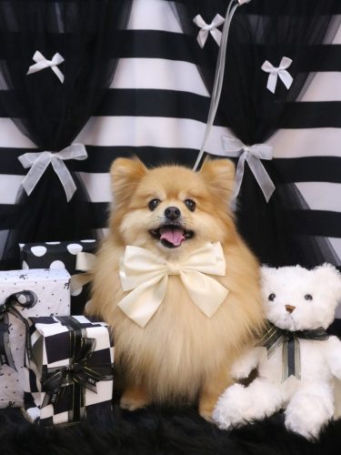 20260208梛都ちゃん