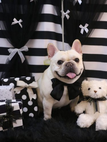 20260208だいずくん