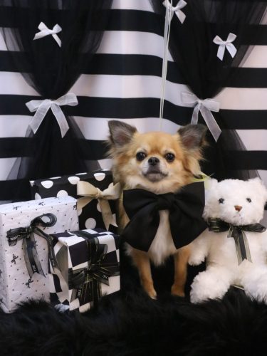 20260208れおくん