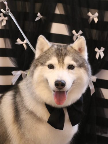 20260210ひかりちゃん