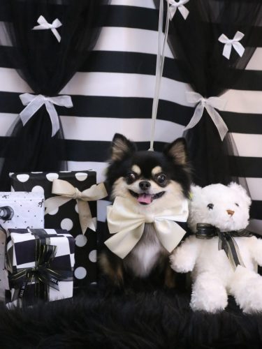 20260210ボスくん