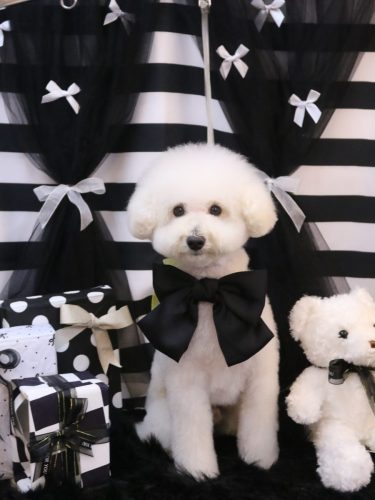 20260210ちくわくん