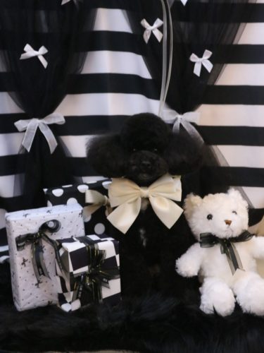 20260210コアくん