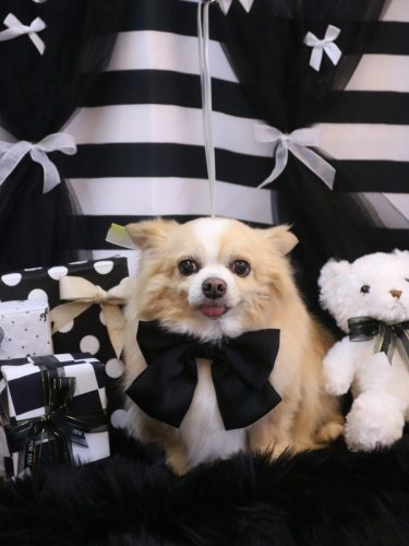 20260210マロ太くん