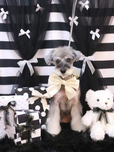 20260211ラーラちゃん