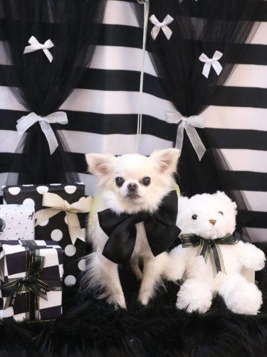 20260211りゅうくん