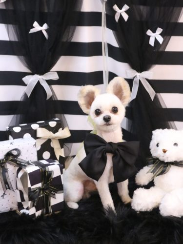 20260212まろくん