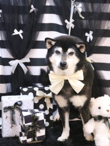 20260212ひめちゃん