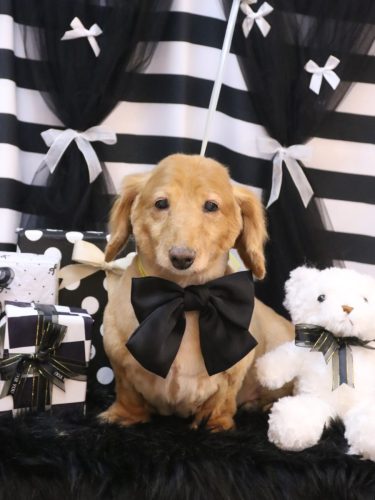 20260212レオンくん