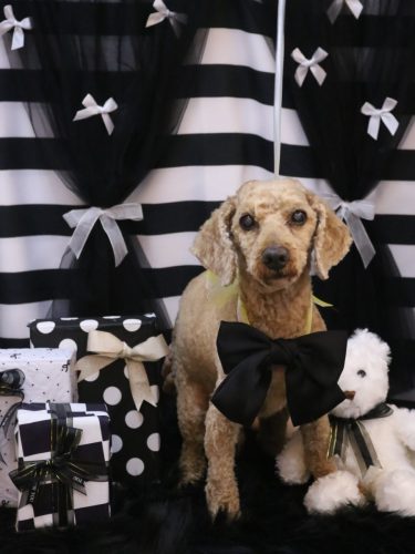 20260213ノンくん